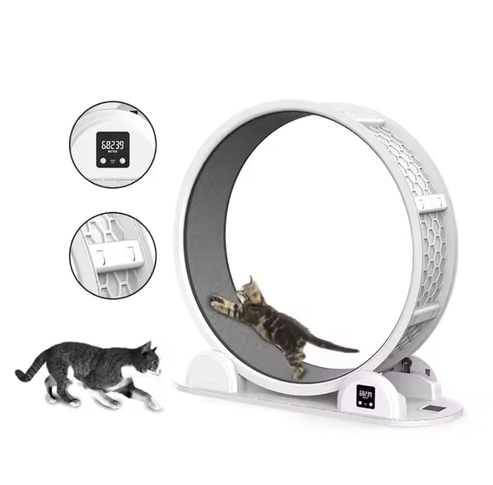 Yüksek Kaliteli İnteraktif Ked - Cat Running Wheel Exercise Treadmill incelemesi ve fiyatı