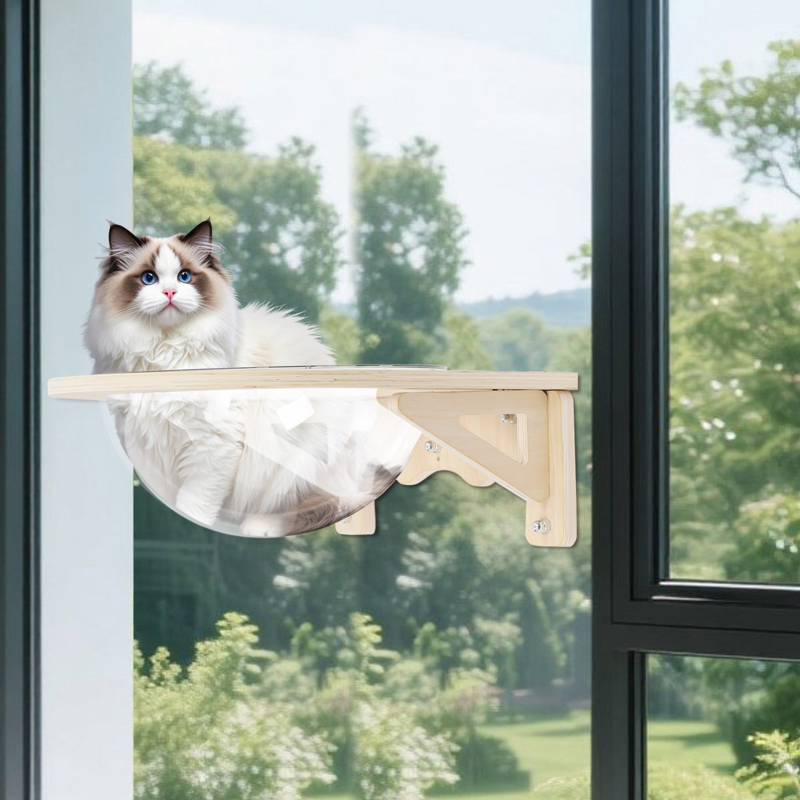 Ahşap Kedi Alanı Şeffaf Kapsül - Cat Wall Climbing Shelves Hammock Wooden incelemesi ve fiyatı