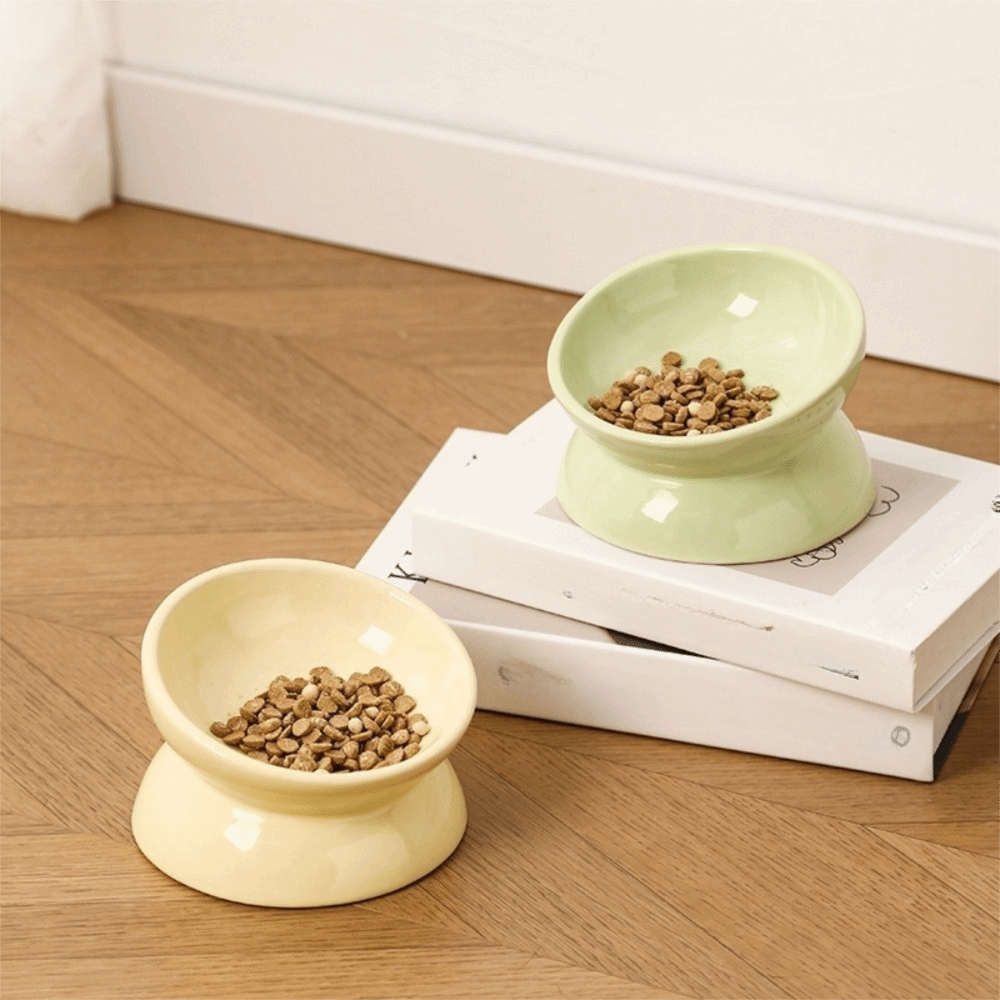 Büyük Çaplı Seramik Yükseltilm - Elevated Ceramic Cat Bowls Tilted Food incelemesi ve fiyatı