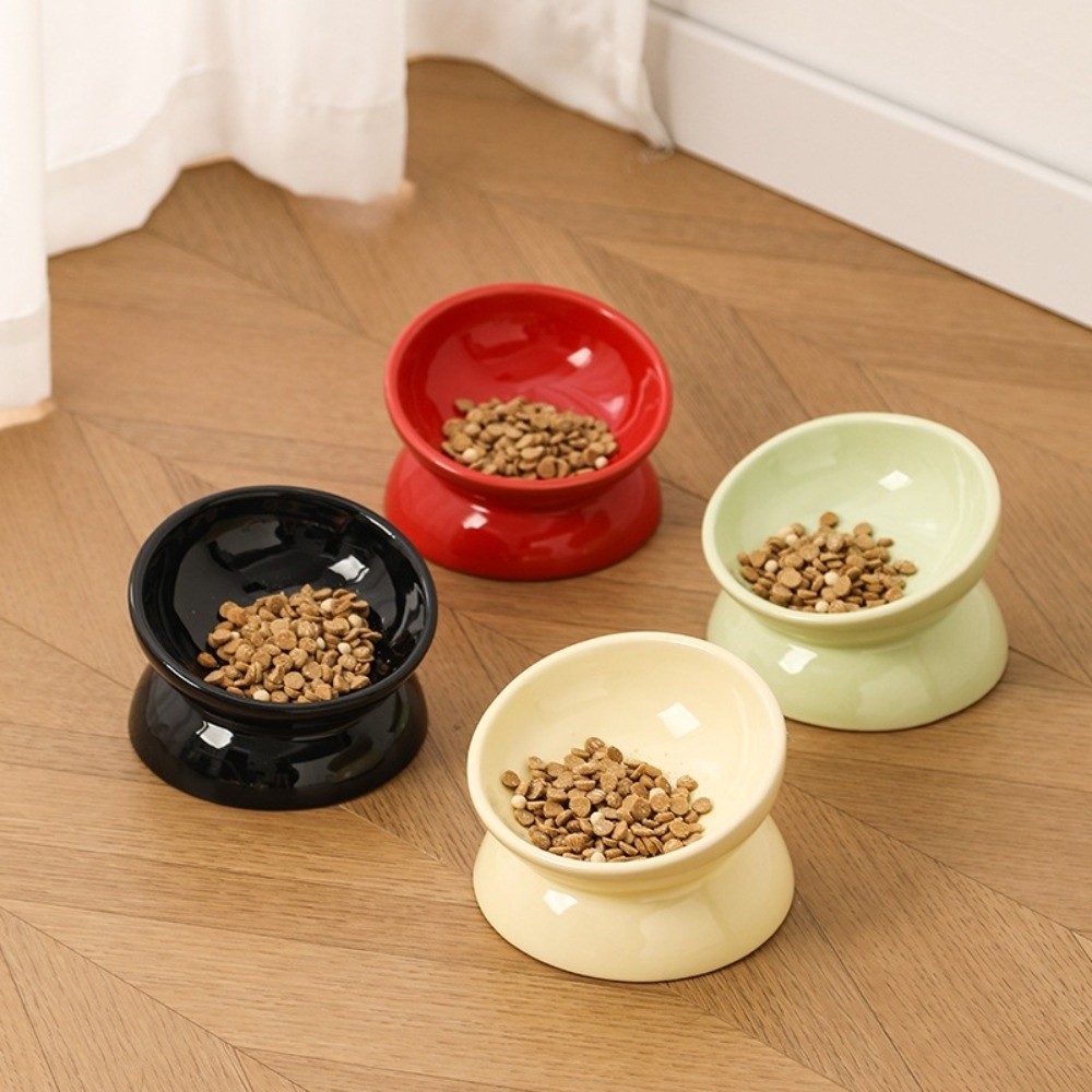 Büyük Çaplı Seramik Yükseltilm - Elevated Ceramic Cat Bowls Tilted Food incelemesi ve fiyatı