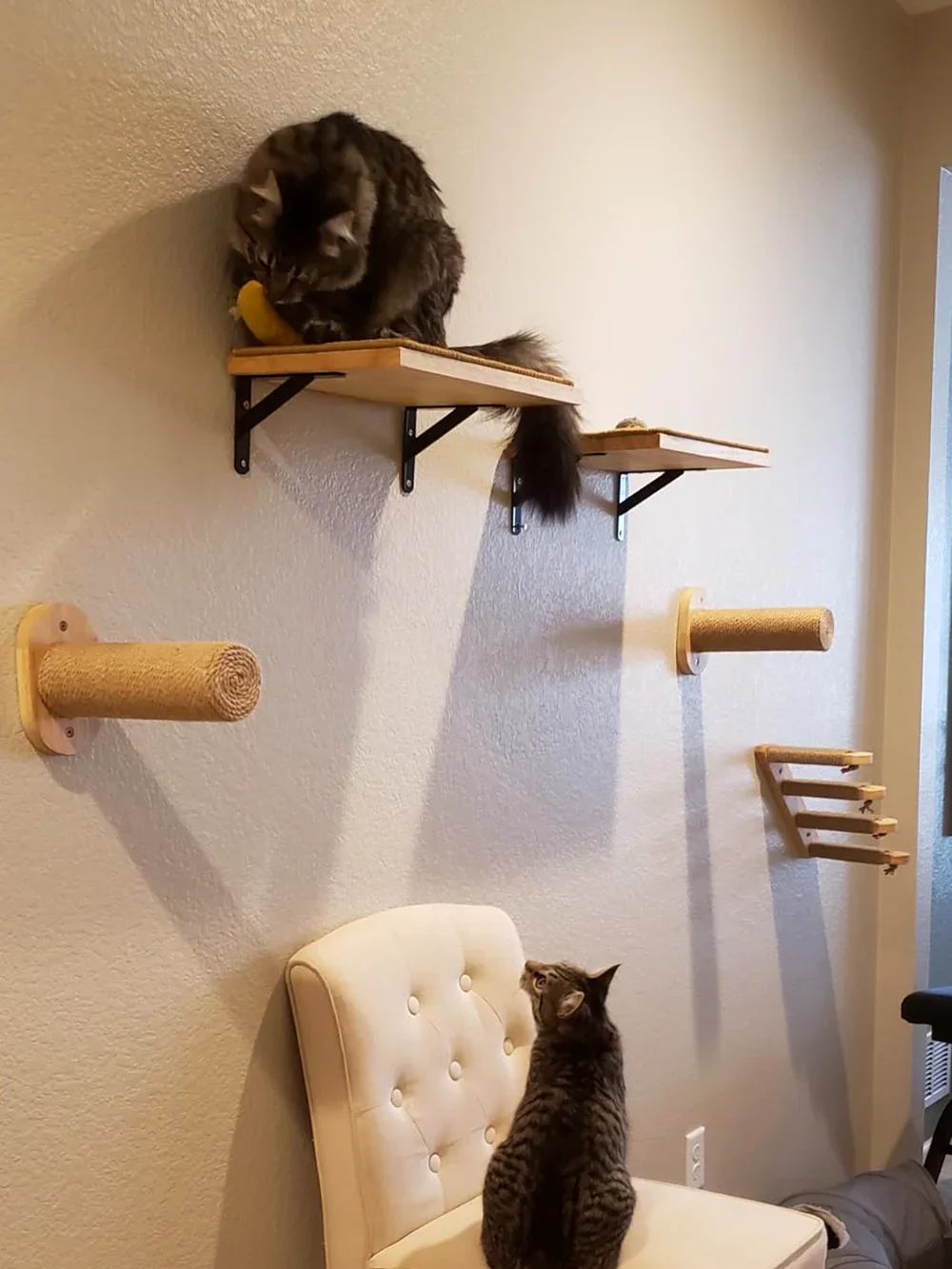 Duvara Monte Edilebilen Kedi A - Cat Wall Climbing Shelves Hammock Wooden incelemesi ve fiyatı