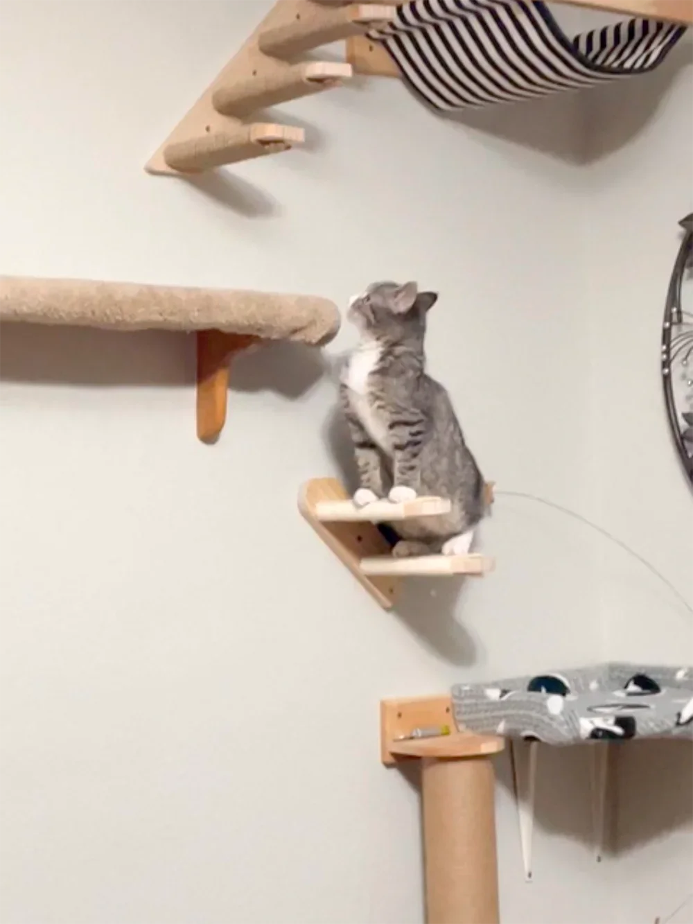 Duvara Monte Edilebilen Kedi A - Cat Wall Climbing Shelves Hammock Wooden incelemesi ve fiyatı