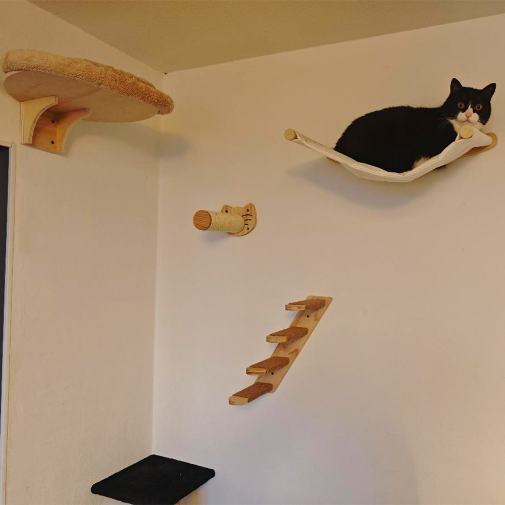 Duvara Monte Kedi Tırmanma Raf - Cat Wall Climbing Shelves Hammock Wooden incelemesi ve fiyatı