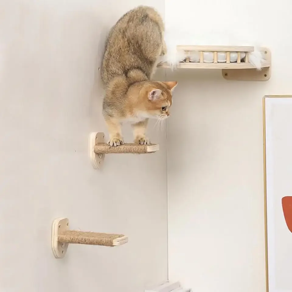 Duvara Monte Kedi Tırmanma Raf - Cat Wall Climbing Shelves Hammock Wooden incelemesi ve fiyatı