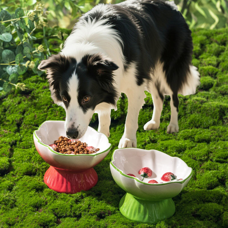 Seramik Çilek Desenli Yükselti - Elevated Ceramic Cat Bowls Tilted Food incelemesi ve fiyatı