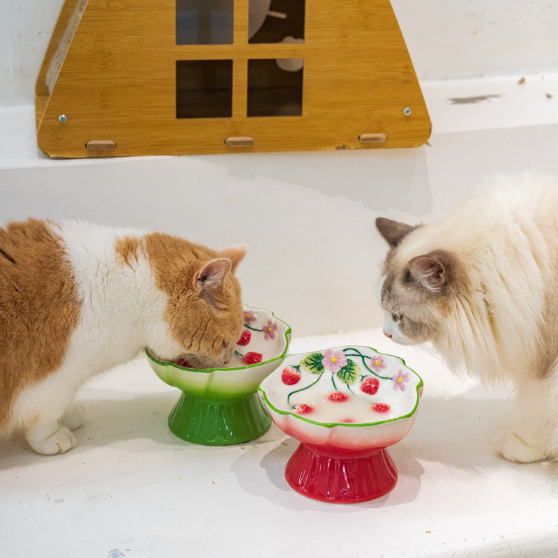 Seramik Çilek Desenli Yükselti - Elevated Ceramic Cat Bowls Tilted Food incelemesi ve fiyatı