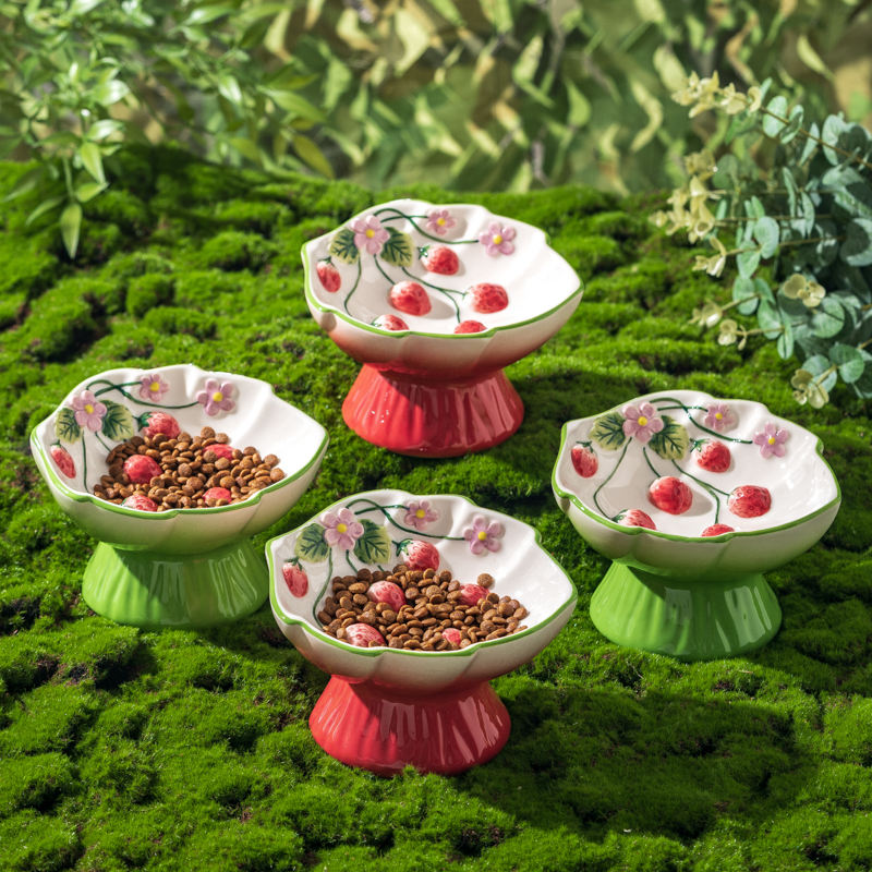 Seramik Çilek Desenli Yükselti - Elevated Ceramic Cat Bowls Tilted Food incelemesi ve fiyatı