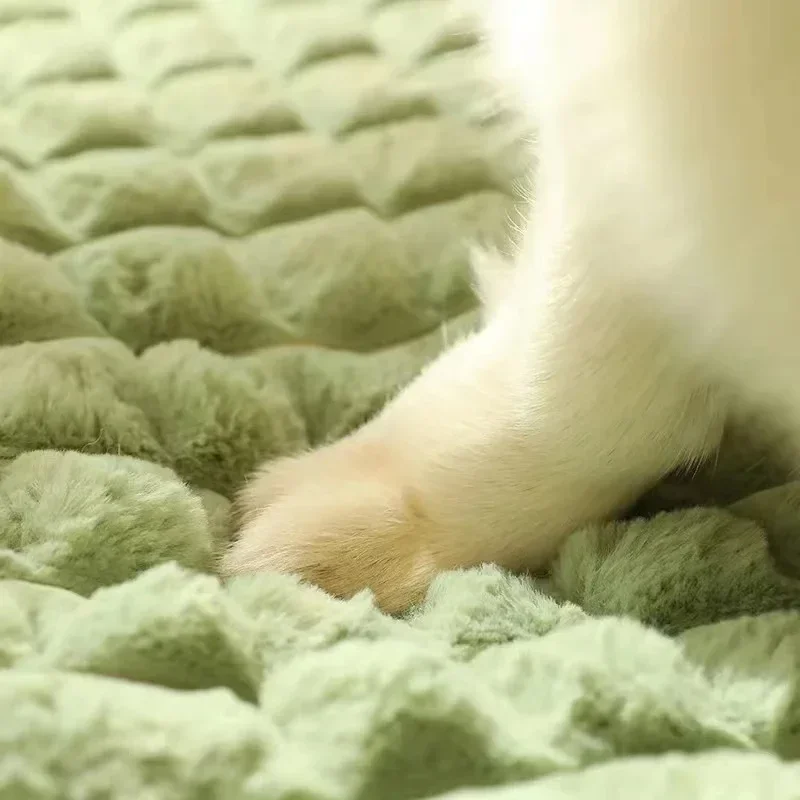Makinede Yıkanabilir Köpek Yat - Orthopedic Memory Foam Dog Bed Washable incelemesi ve fiyatı