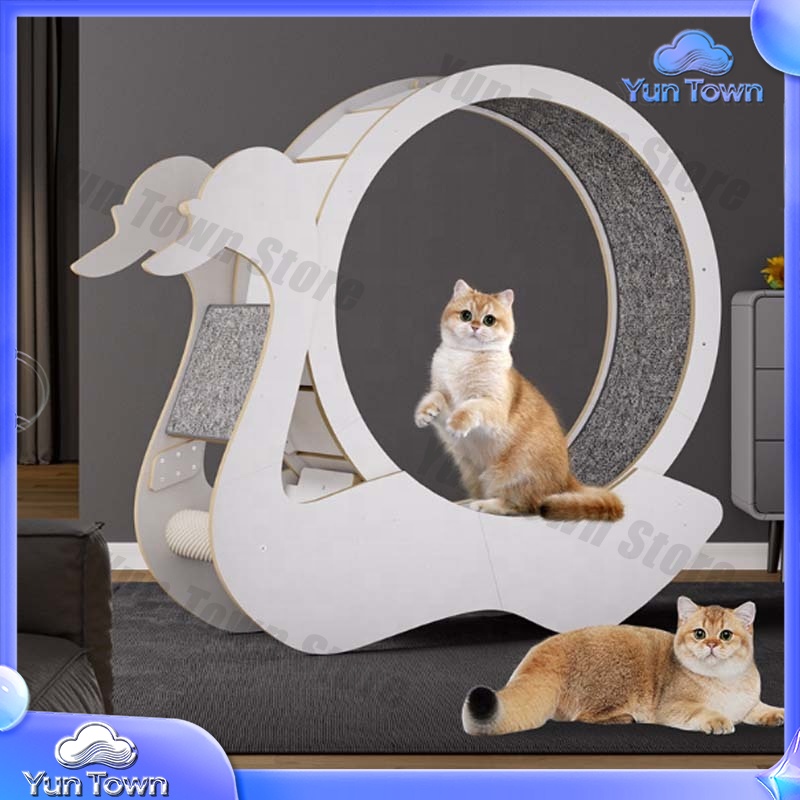 İç Mekan Kedileri için Egzersi - Cat Running Wheel Exercise Treadmill incelemesi ve fiyatı