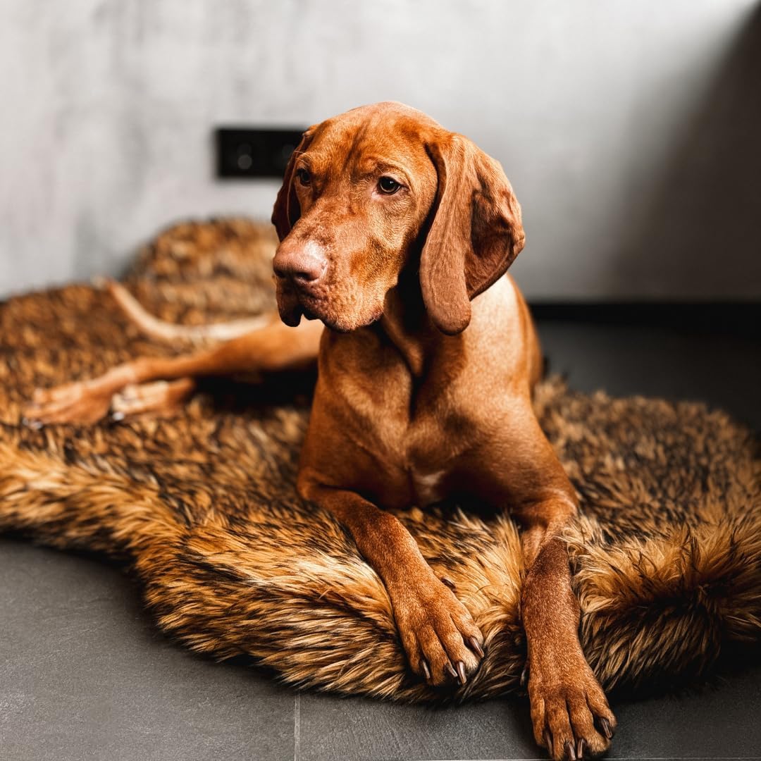 Suni Kürklü Ortopedik Köpek Ya - Orthopedic Memory Foam Dog Bed Washable incelemesi ve fiyatı