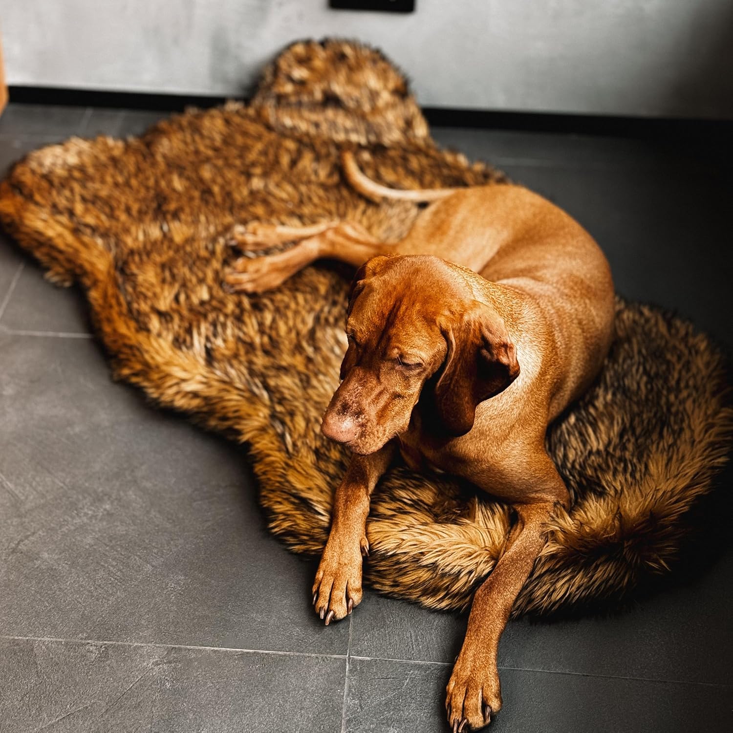 Suni Kürklü Ortopedik Köpek Ya - Orthopedic Memory Foam Dog Bed Washable incelemesi ve fiyatı