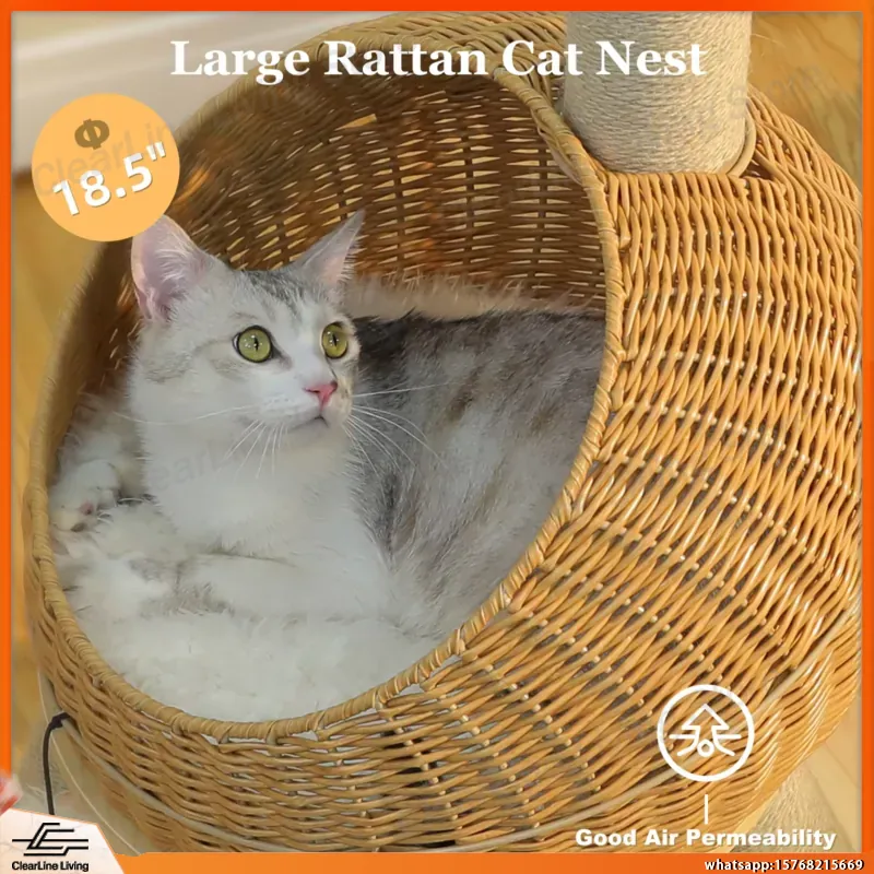 Dinozor Kedi Ağacı Kulesi, Sis - Cat Scratching Post Sisal Tree Tower incelemesi ve fiyatı