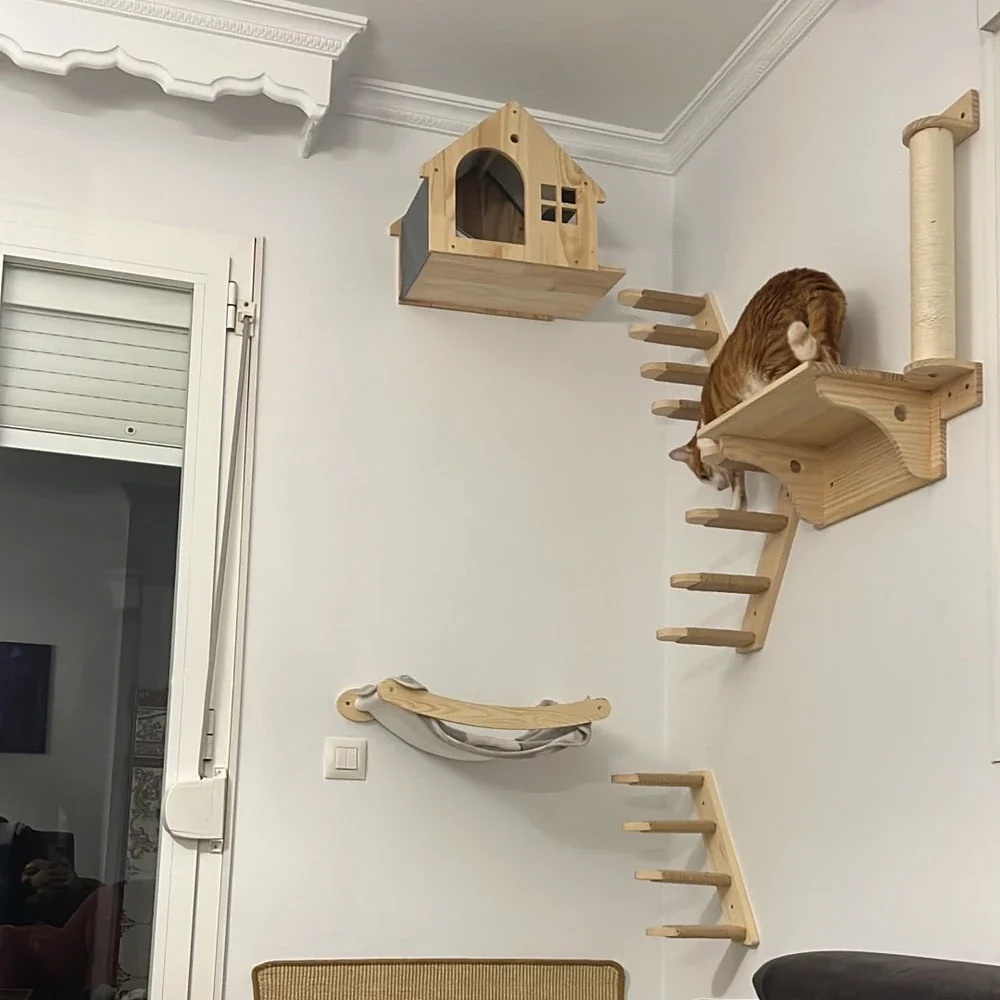 Ahşap Kedi Tırmanma Rafları Du - Cat Wall Climbing Shelves Hammock Wooden incelemesi ve fiyatı