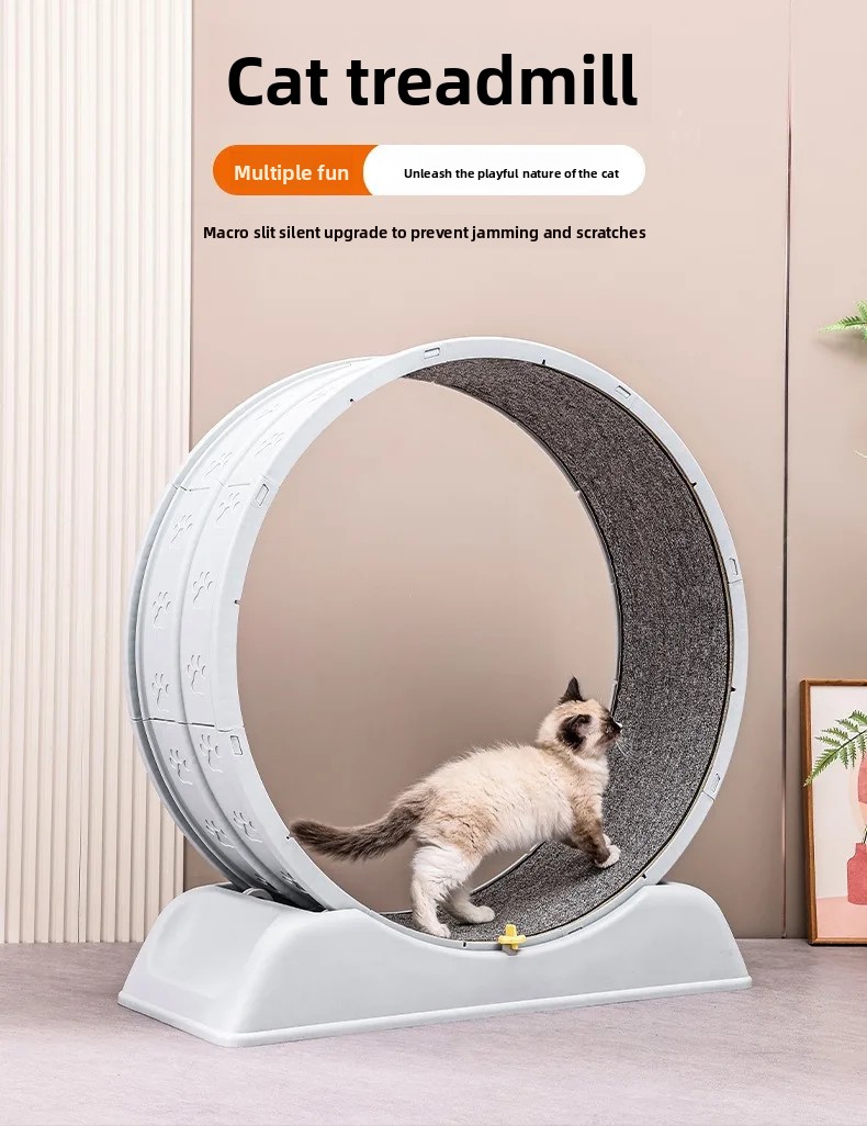Sessiz ve Doldurulmamış Ayaklı - Cat Running Wheel Exercise Treadmill incelemesi ve fiyatı