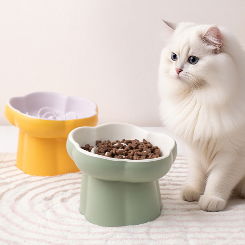 Seramik Yükseltilmiş Kedi Yava - Elevated Ceramic Cat Bowls Tilted Food incelemesi ve fiyatı
